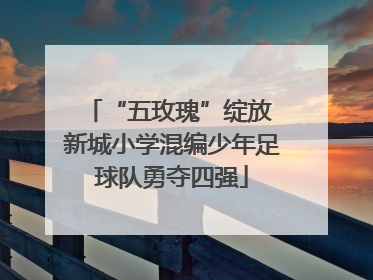 “五玫瑰”绽放 新城小学混编少年足球队勇夺四强